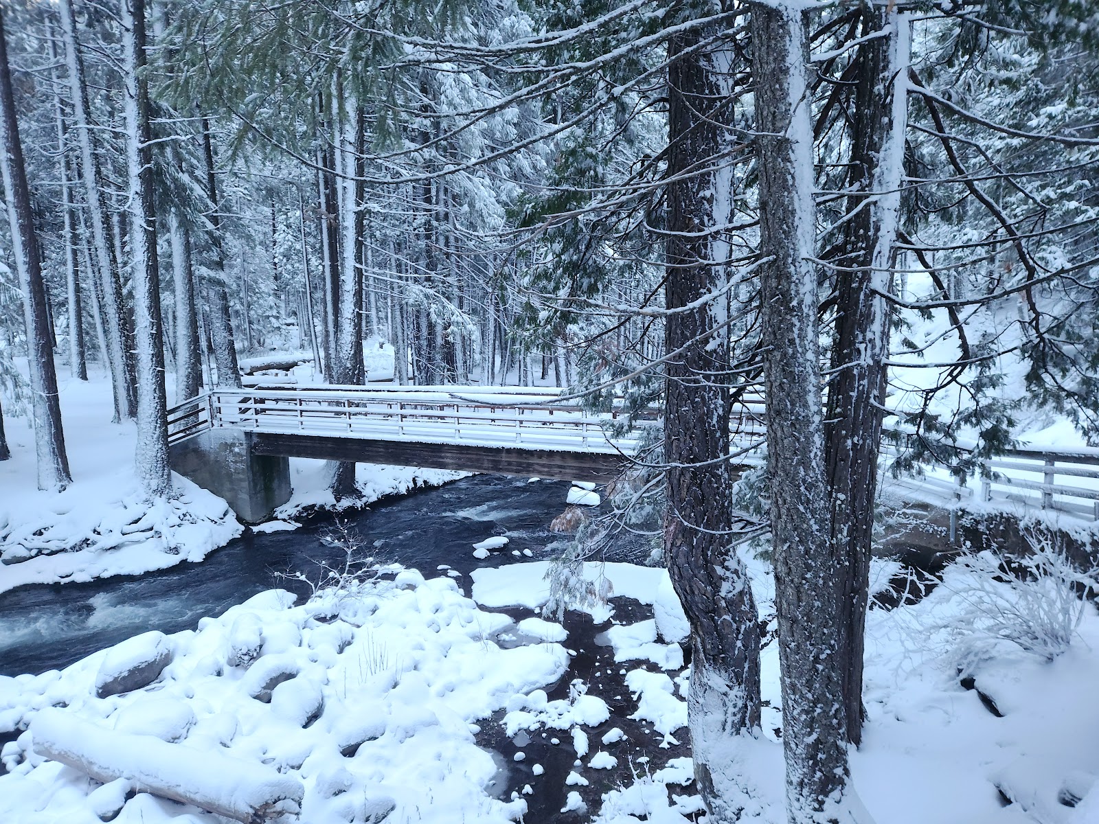 Cherry Hill Campground