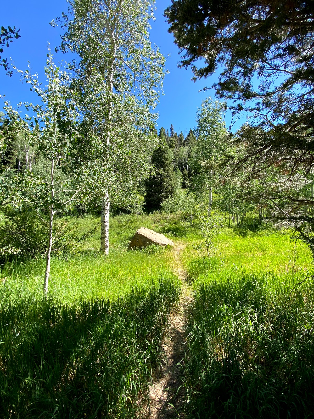 Cedar Canyon Campground