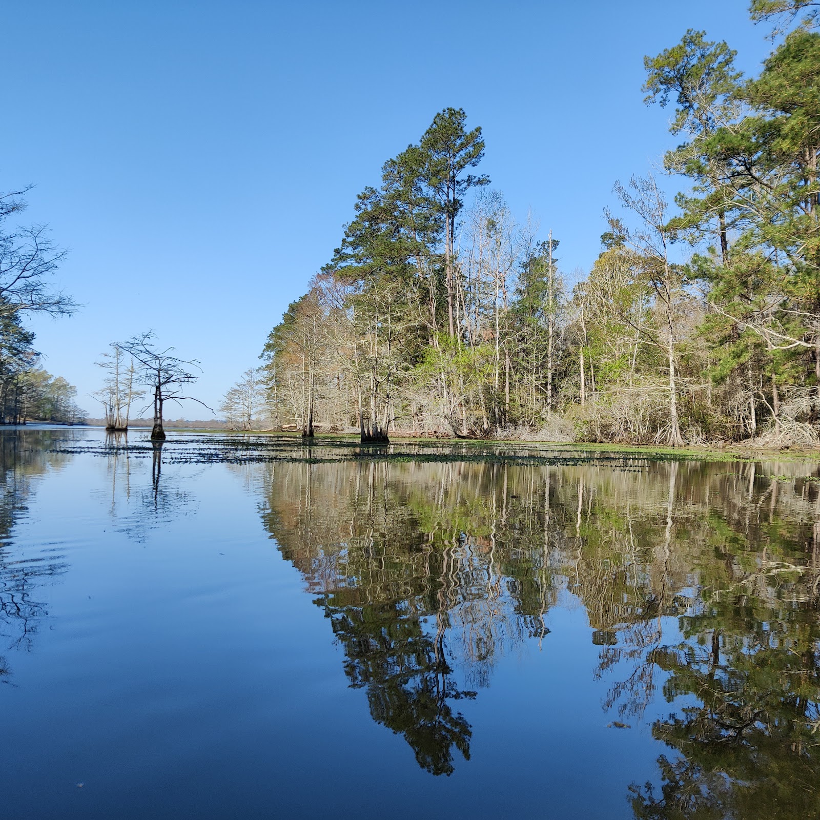 Martin Dies, Jr. State Park