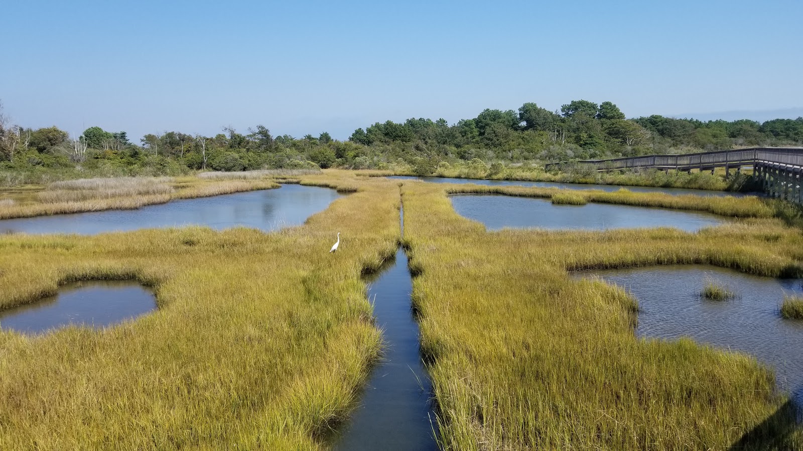 Bayside - Assateague Island National Seashore