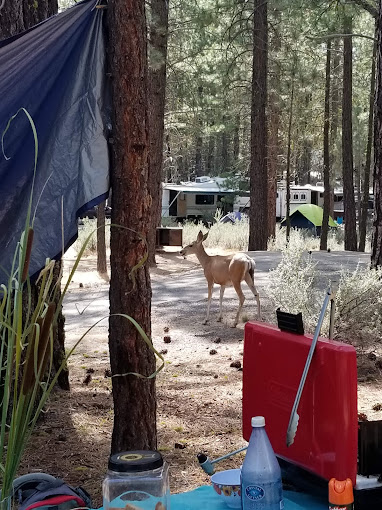 Long Point Campground
