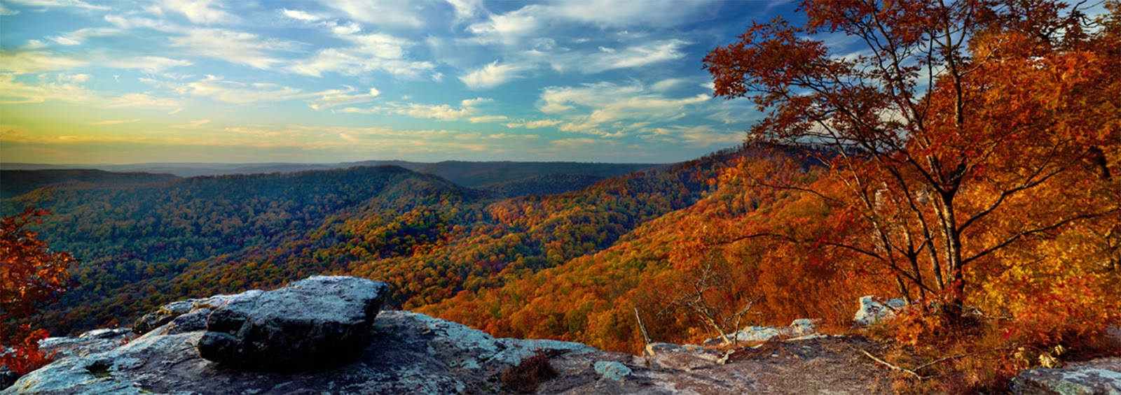 Branson Treehouse Adventures & RV Park