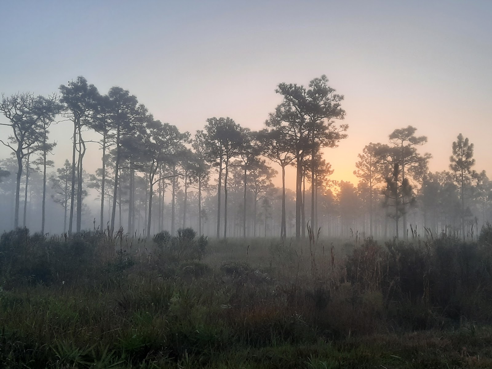Triple N Ranch Wildlife Management Area