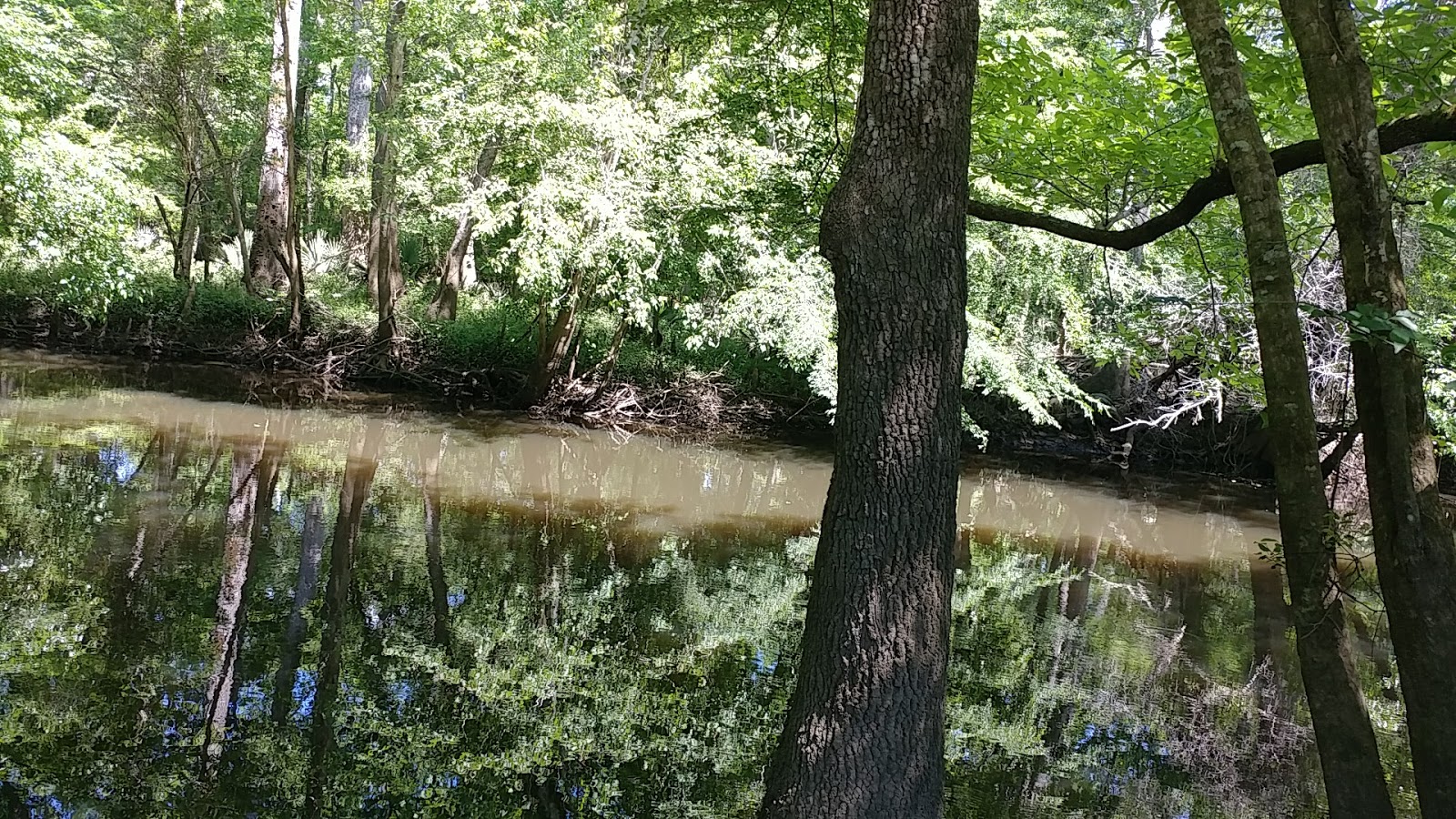 Cotton Landing Campground