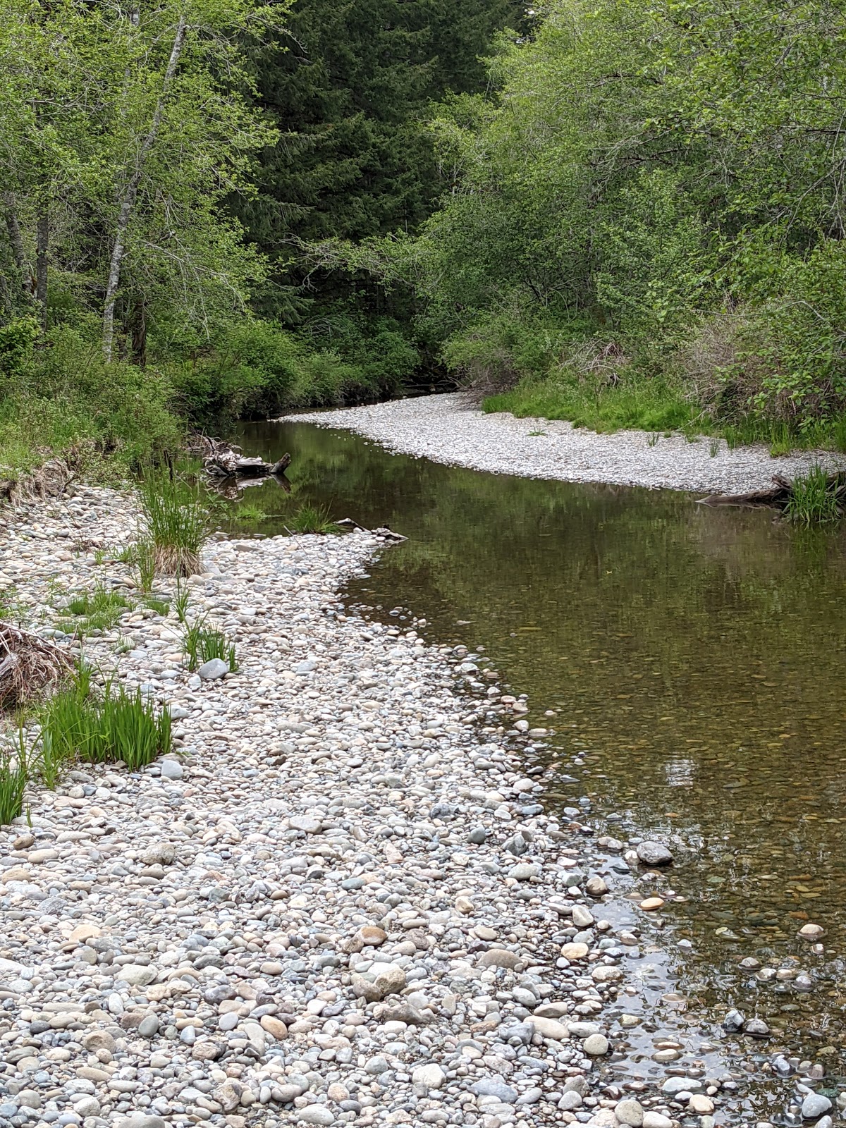 Camp Spillman Campground