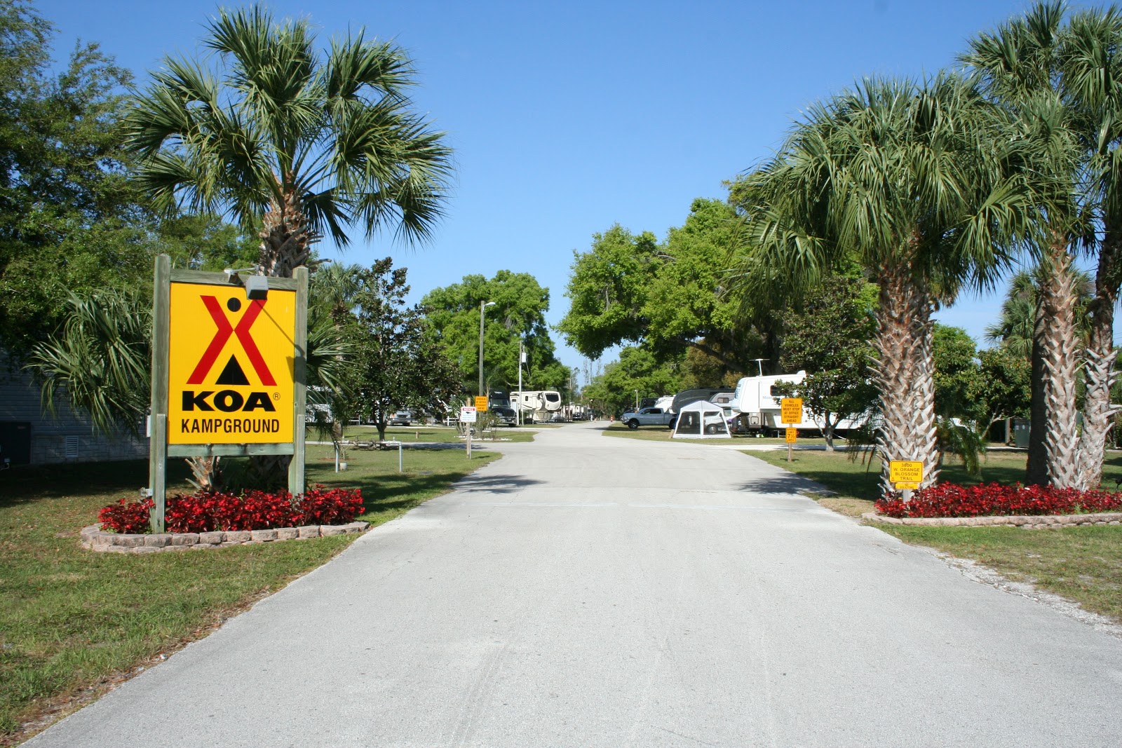 KOA Journey Orlando Orange Blossom