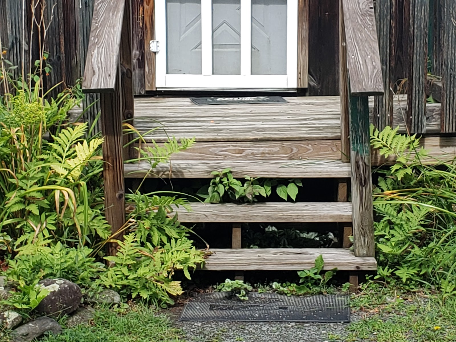 Alps Family Campground Inc