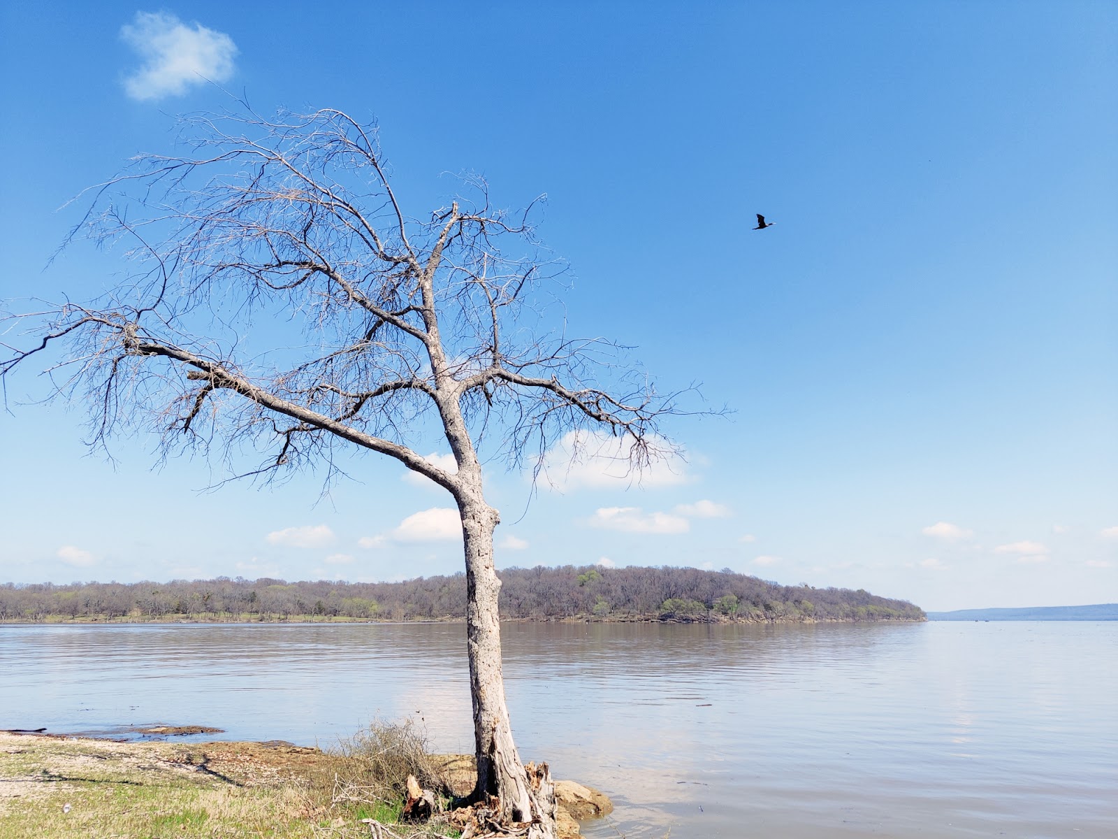 Blue Bill Point Campground