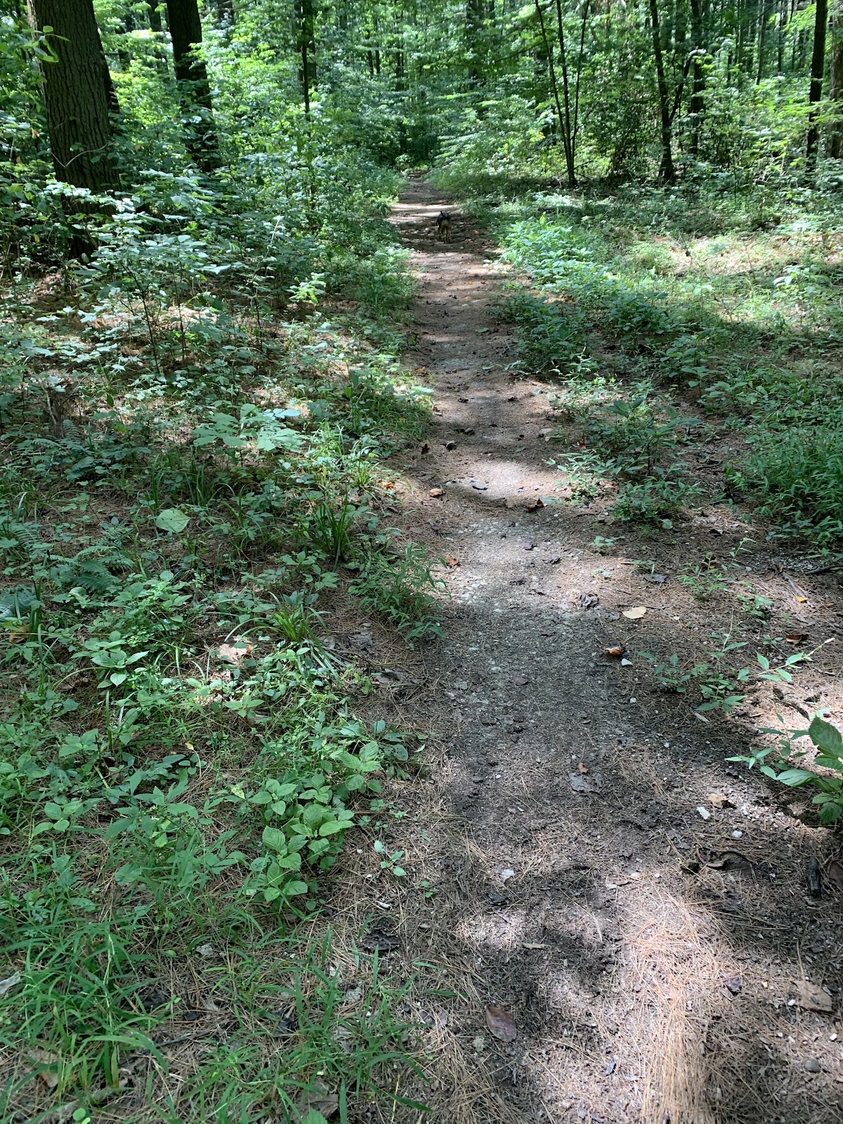 Hickory Ridge Horse Camp