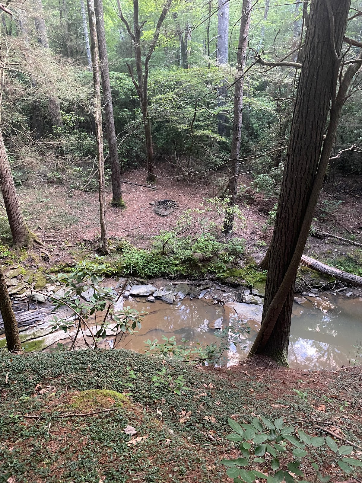 Little Possum North Campsite