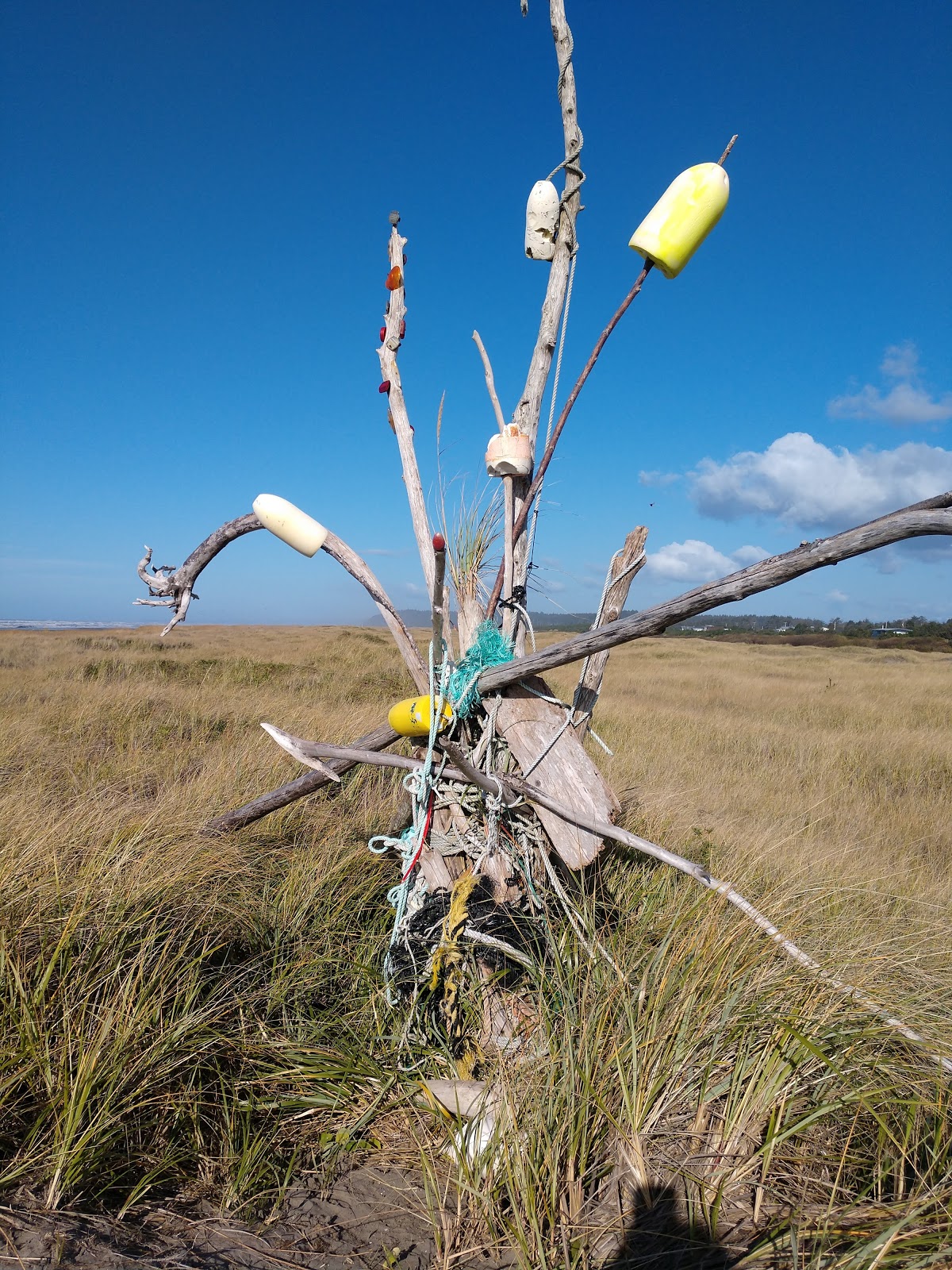 TIDELANDS CAMPGROUND