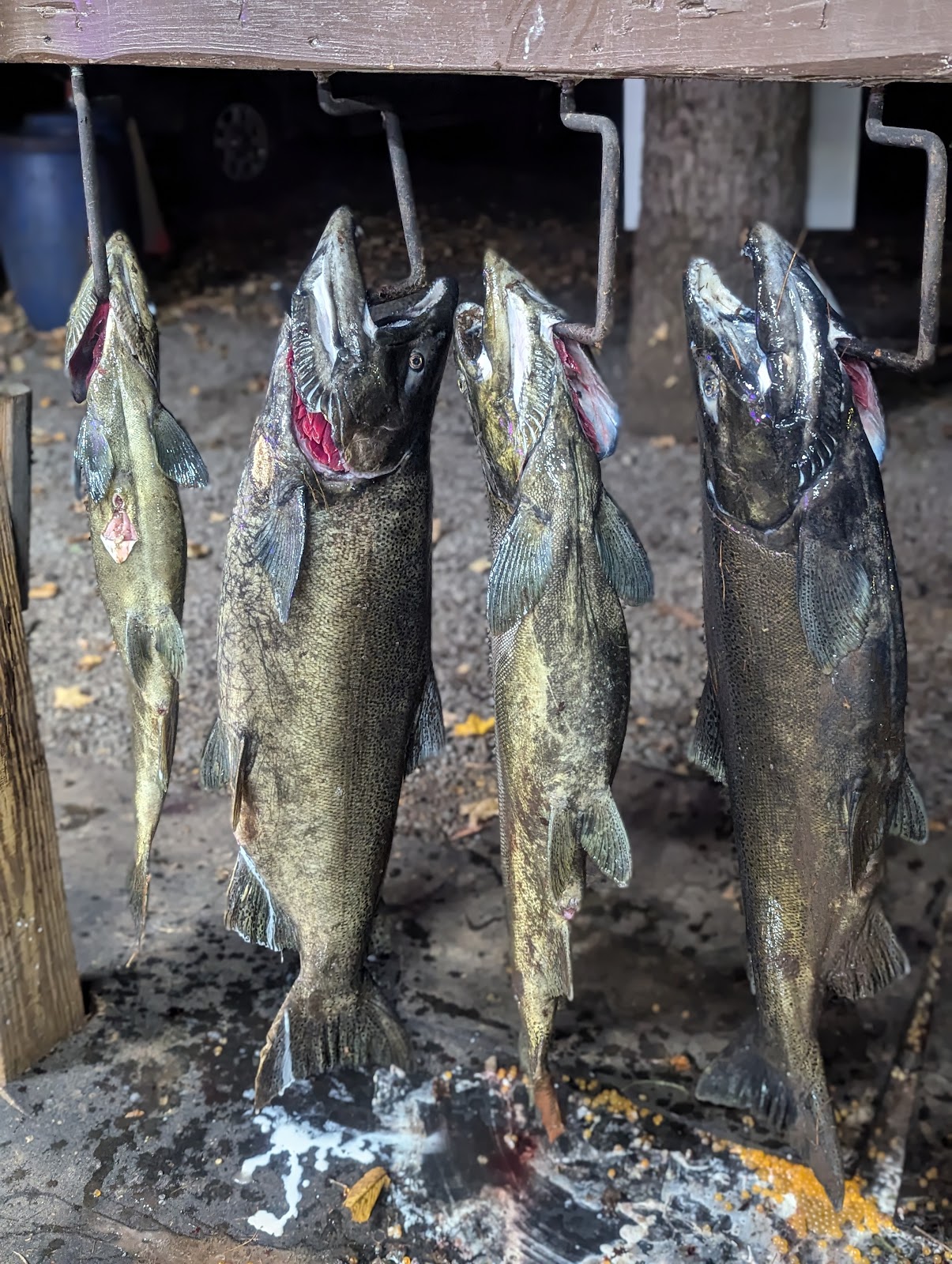 Stoney's Pineville RV Park