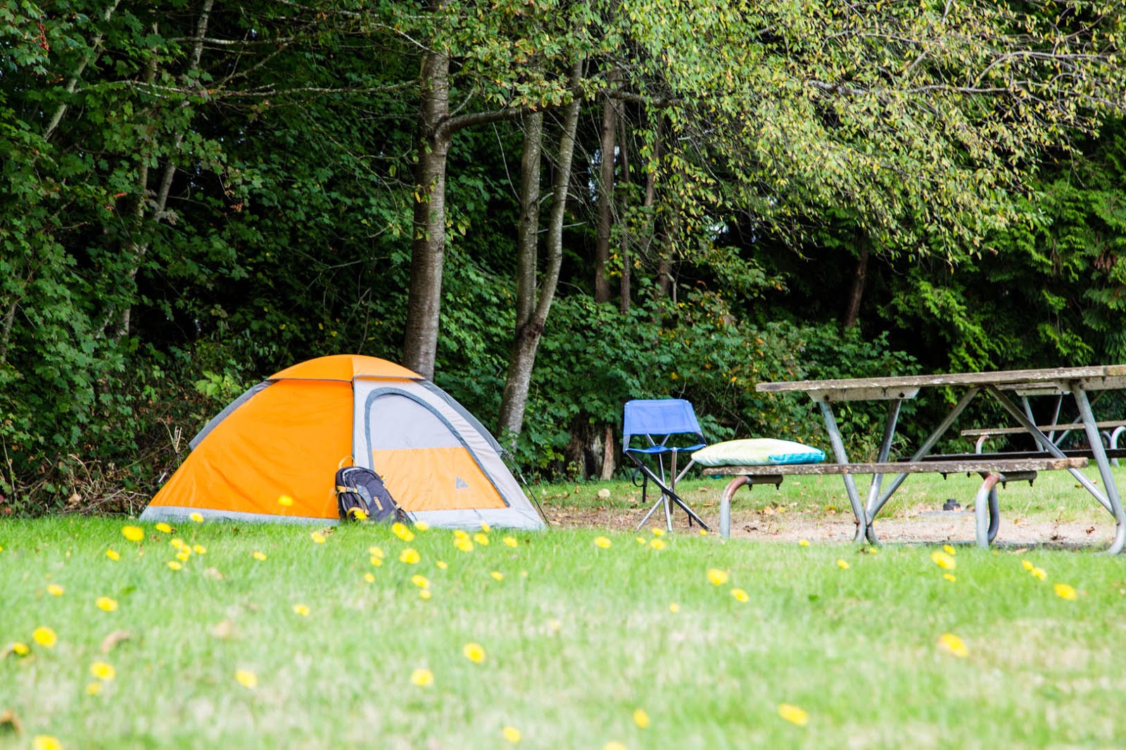 Birch Bay RV Campground