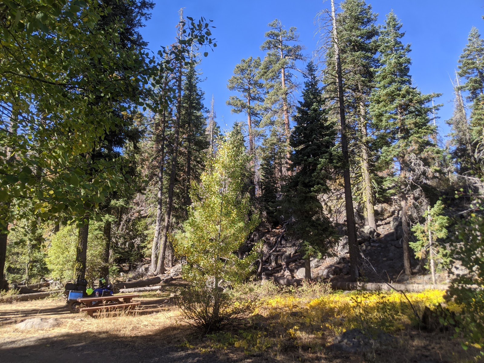 Can Springs Campground