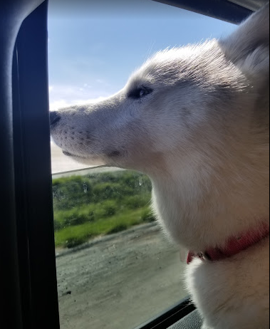 Mount Vernon RV Park