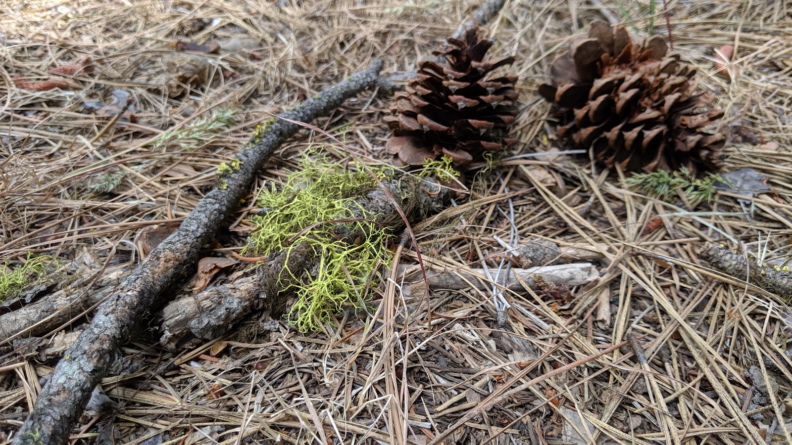 Hause Creek Campground