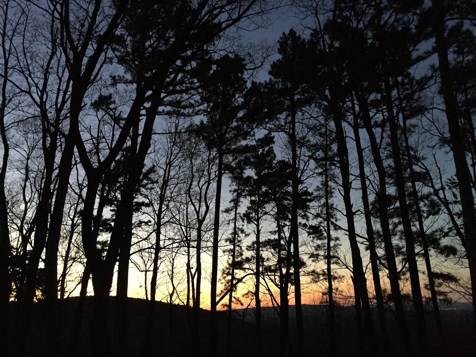 Winding Stair NF Campground