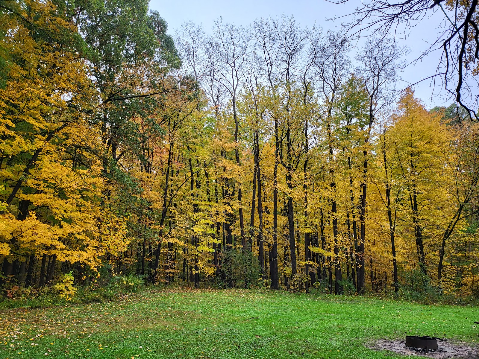 Mt. Gilead State Park