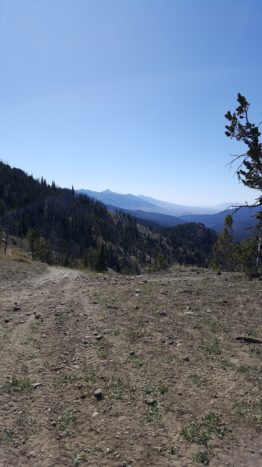 Timber Creek Campground