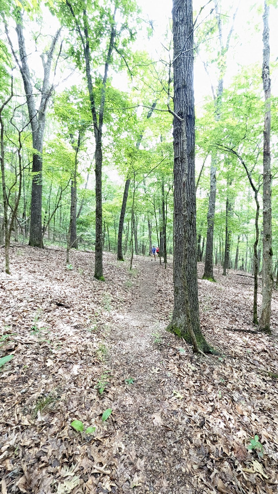 Lost Bridge South Recreation Area & Campground