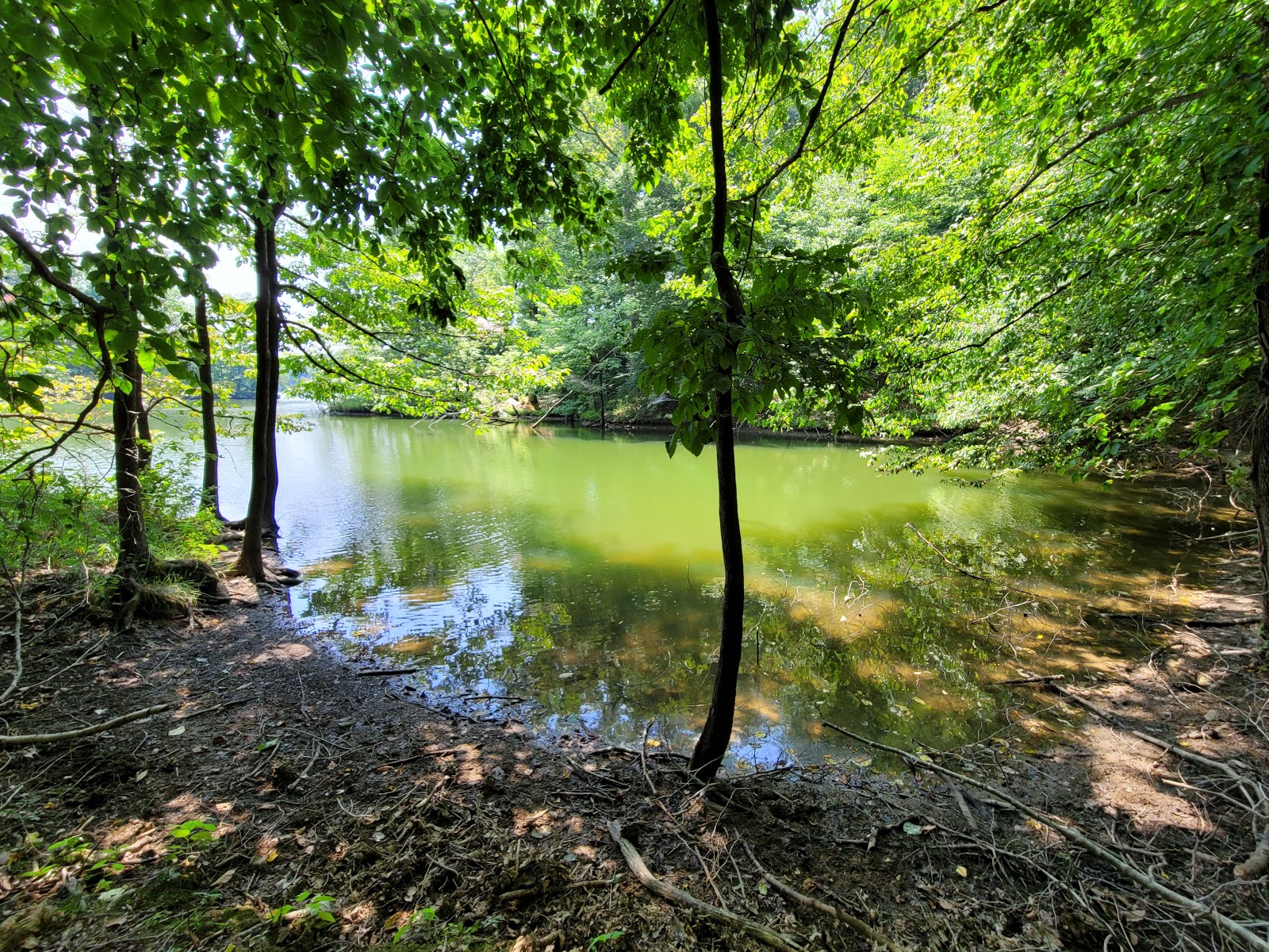 Village Creek State Park