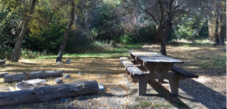 Valley Forge Trail Camp