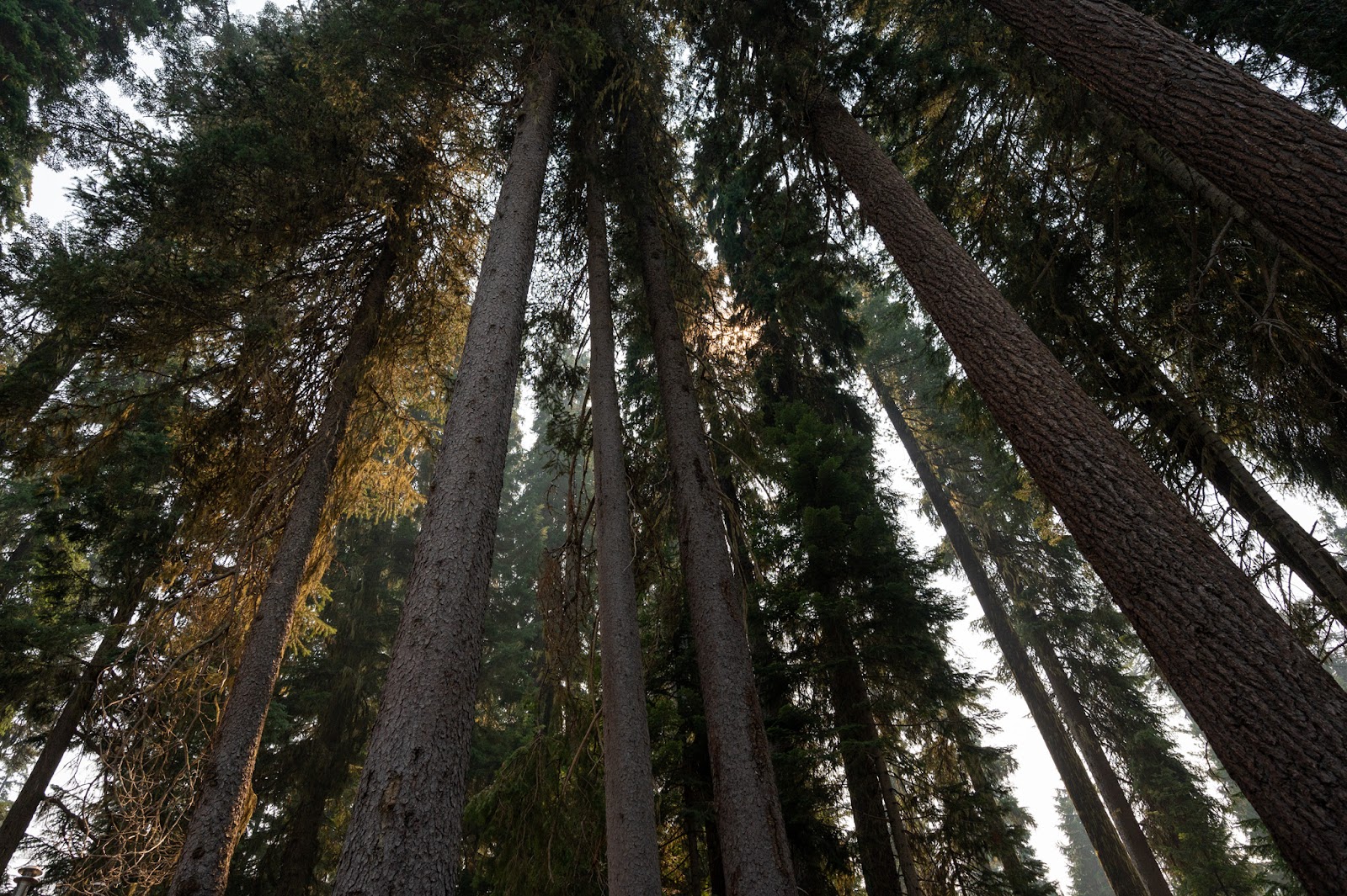 Shelter Cove Resort & Marina