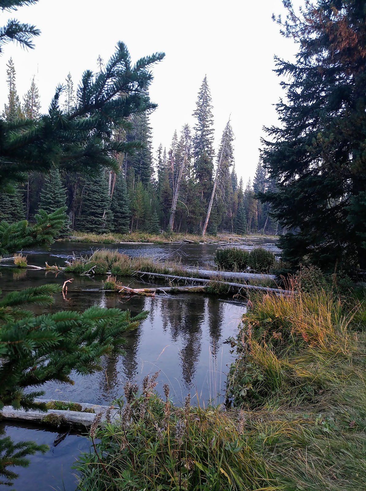 Cultus Corral Campground