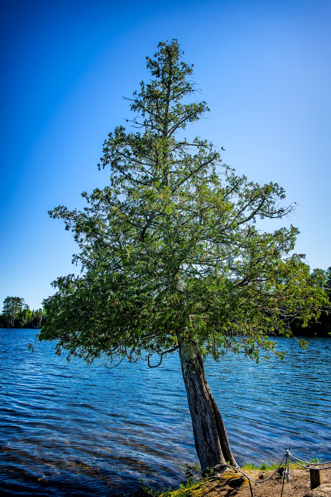 Chase Point - Scenic State Park