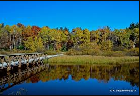 Crex Meadows Camping