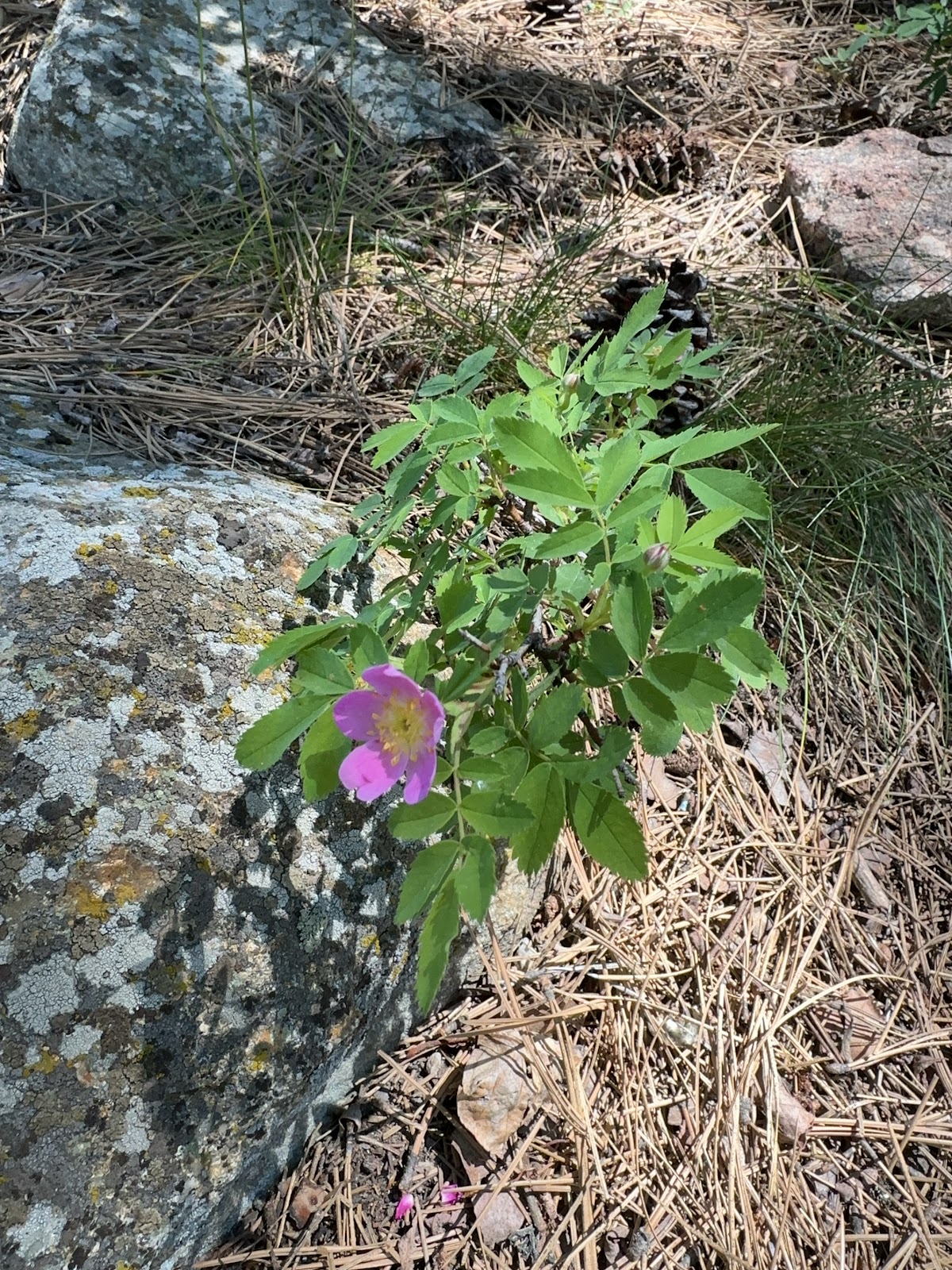 Lake Como Upper Campground