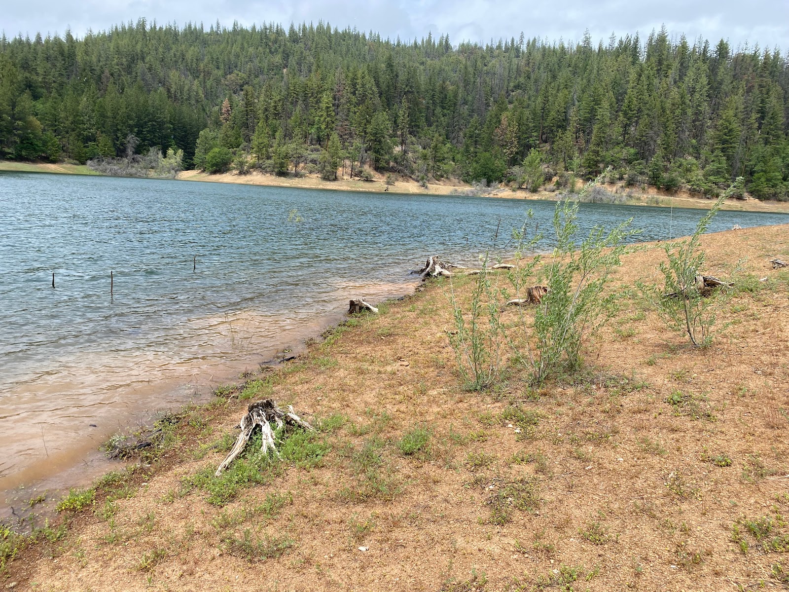Harr Point Campground
