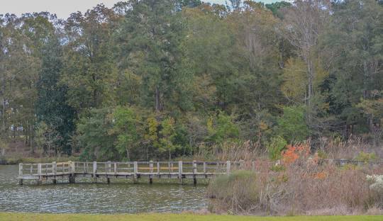 Lake Lincoln State Park