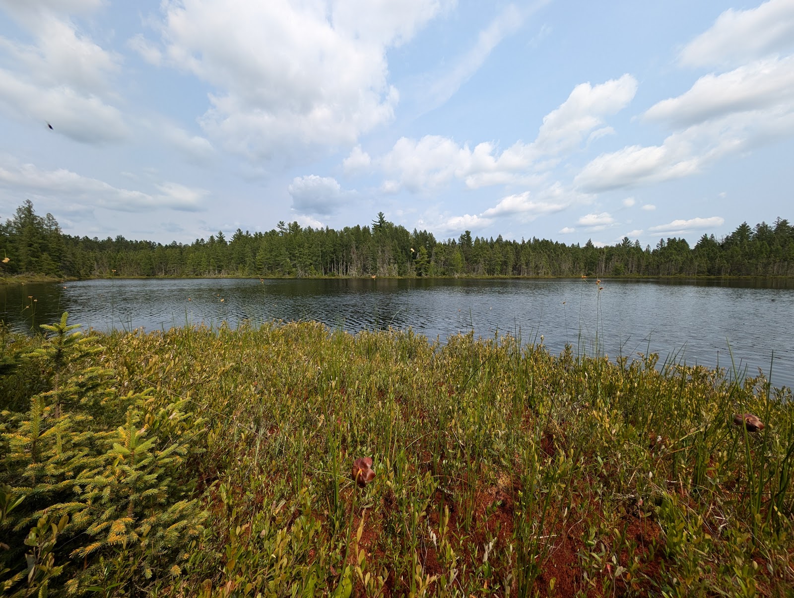 Flambeau River State Forest Headquarters