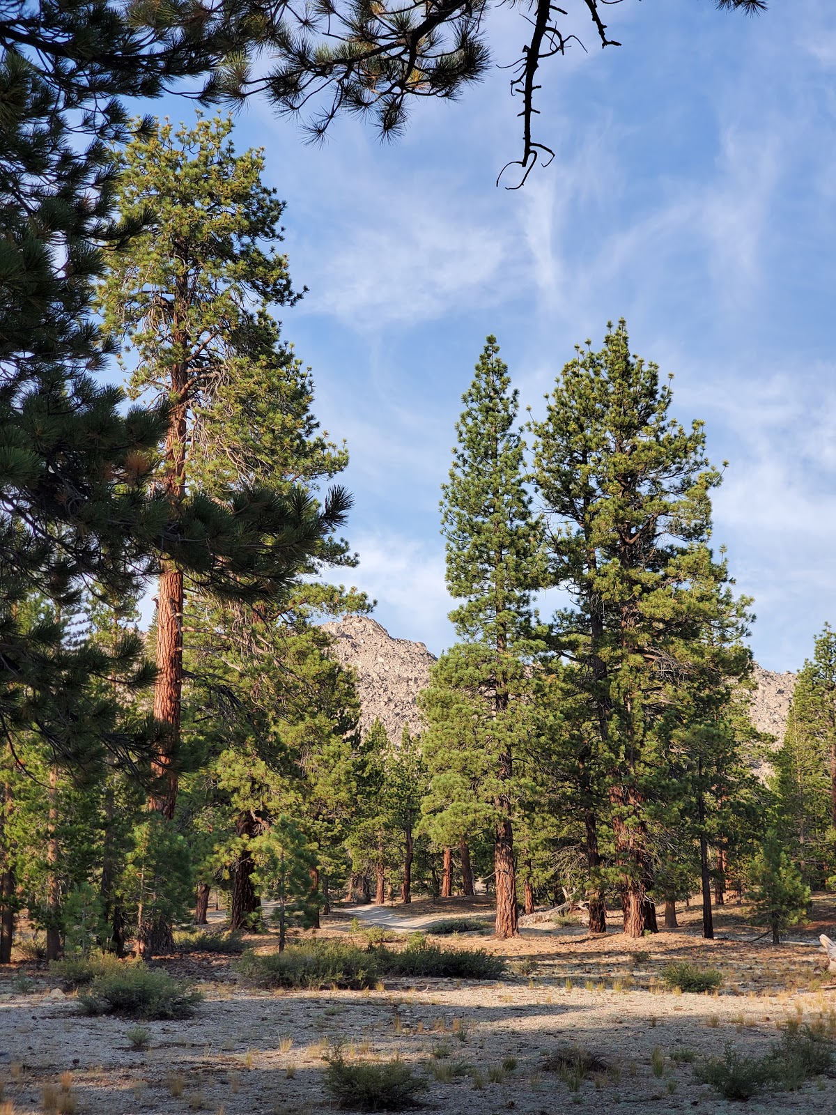 Lower Deadman Campground