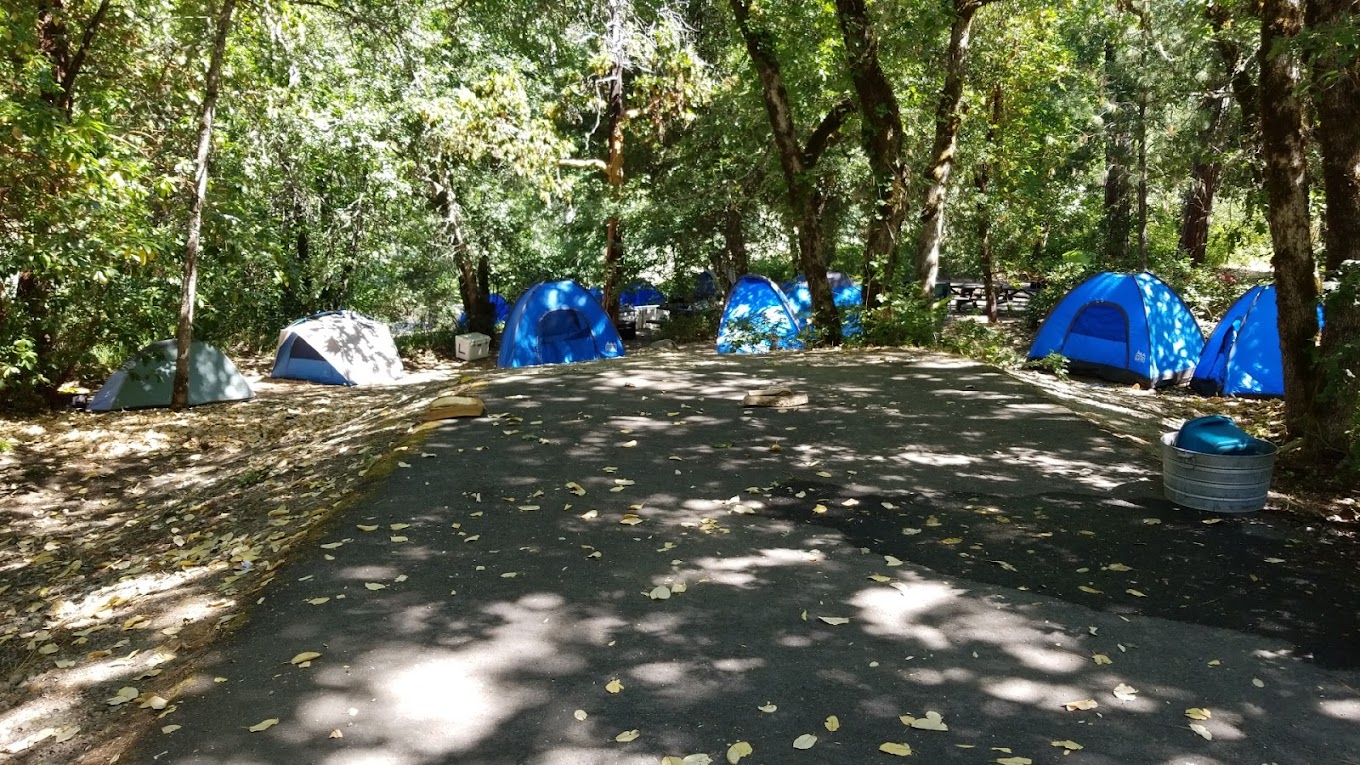 Curly Jack Campground