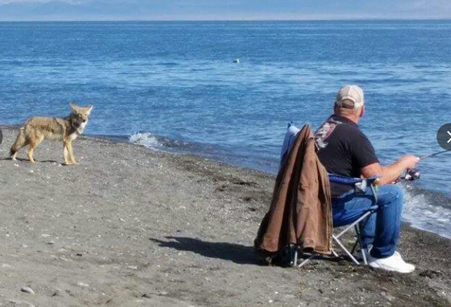 Pyramid Lake Marina and RV Park