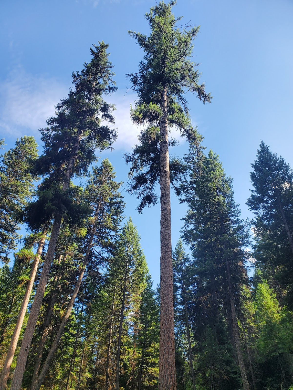 Lost Lake Campground