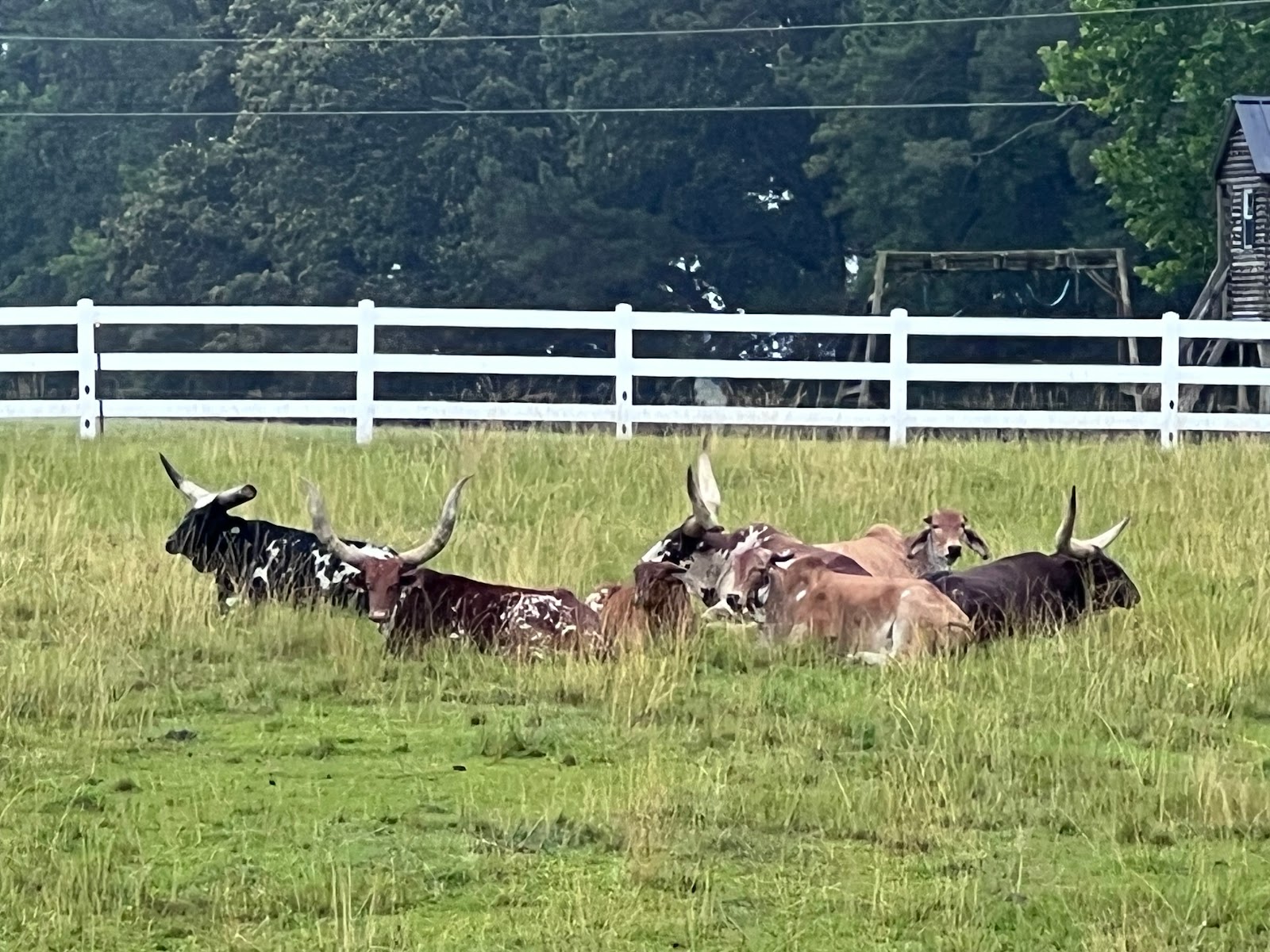 Rock Ridge Campground