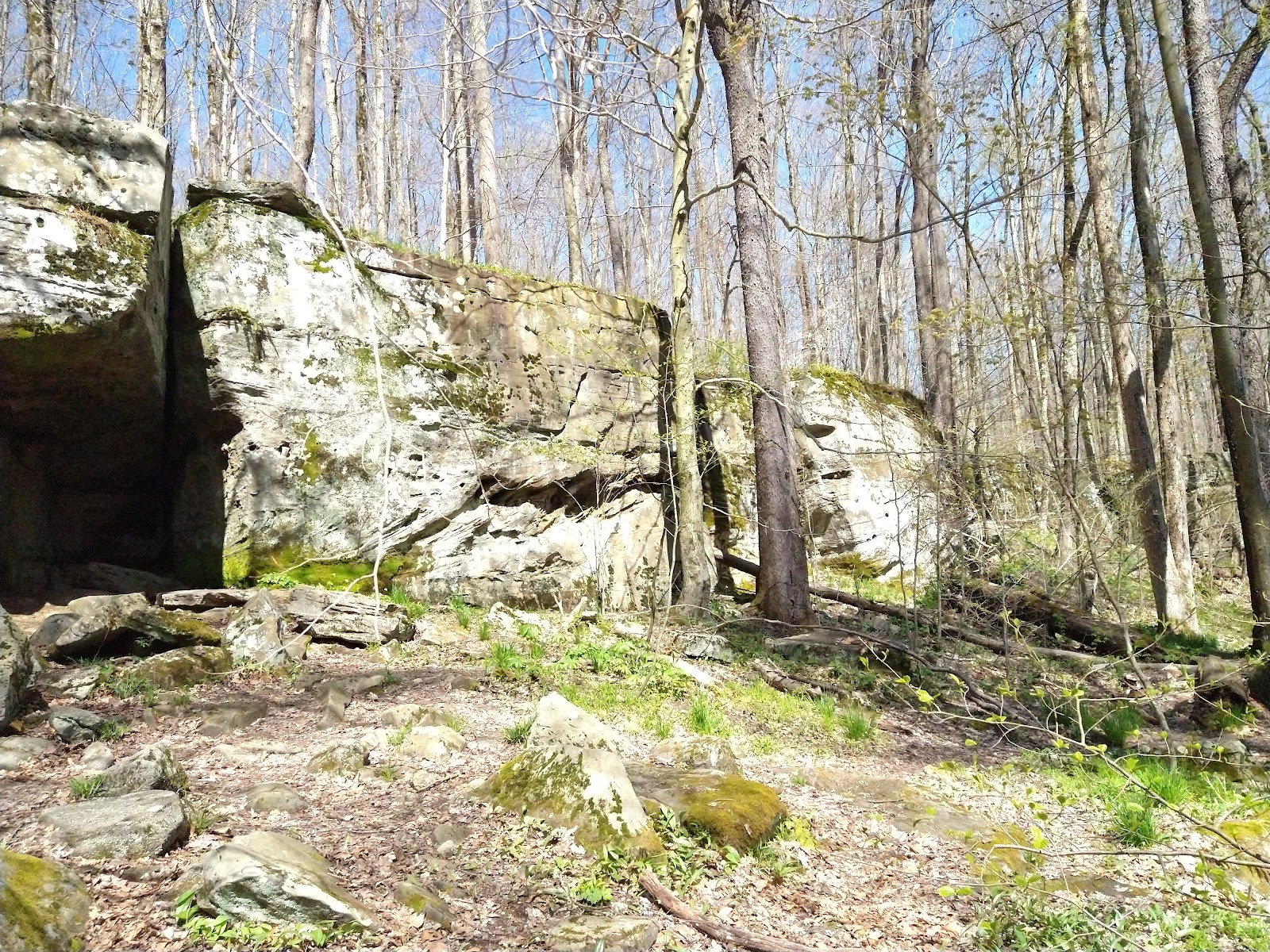 Allegany State Park (Red House Area)