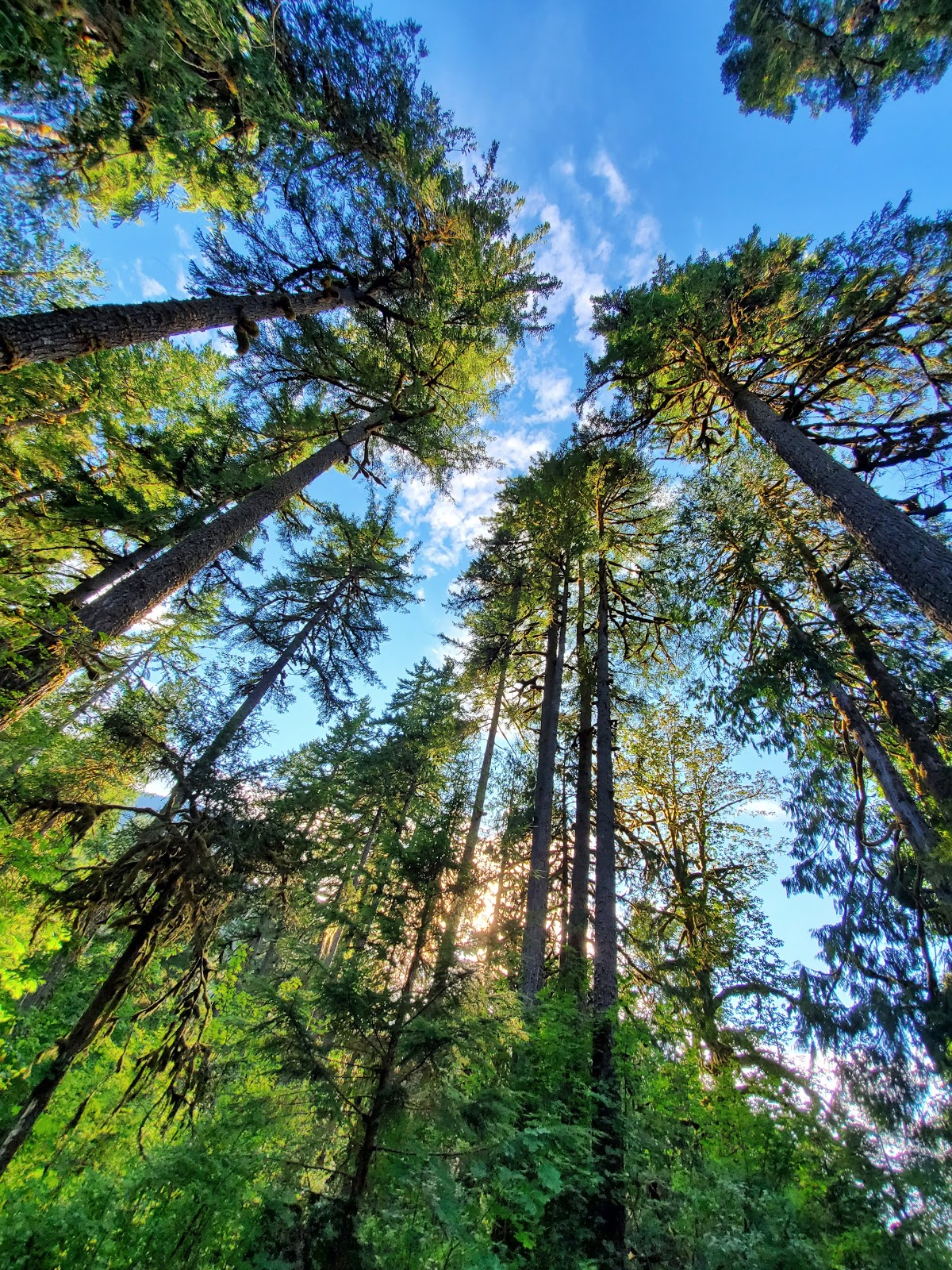 Marten Creek Group Campground