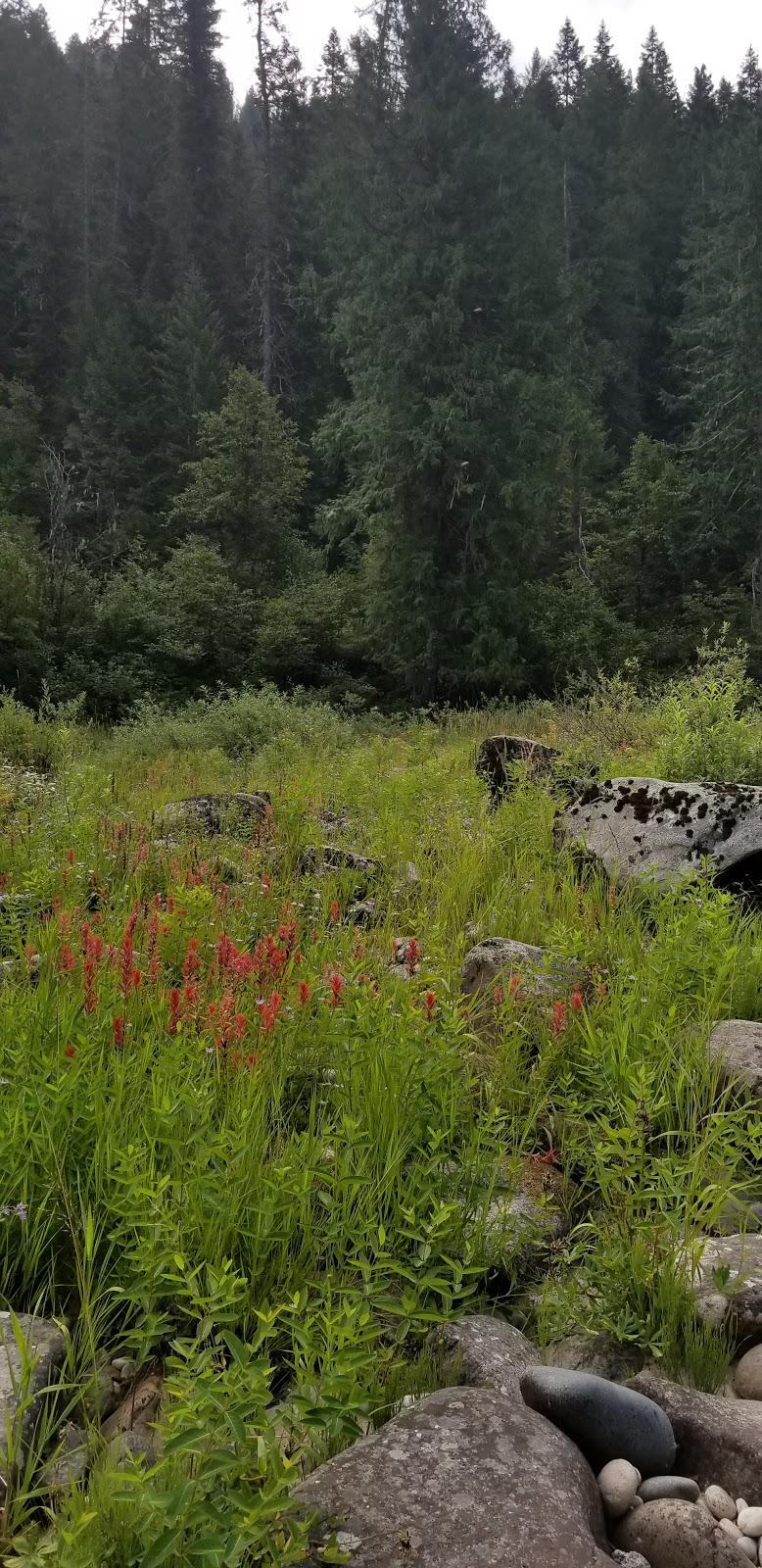 Washington Creek Campground