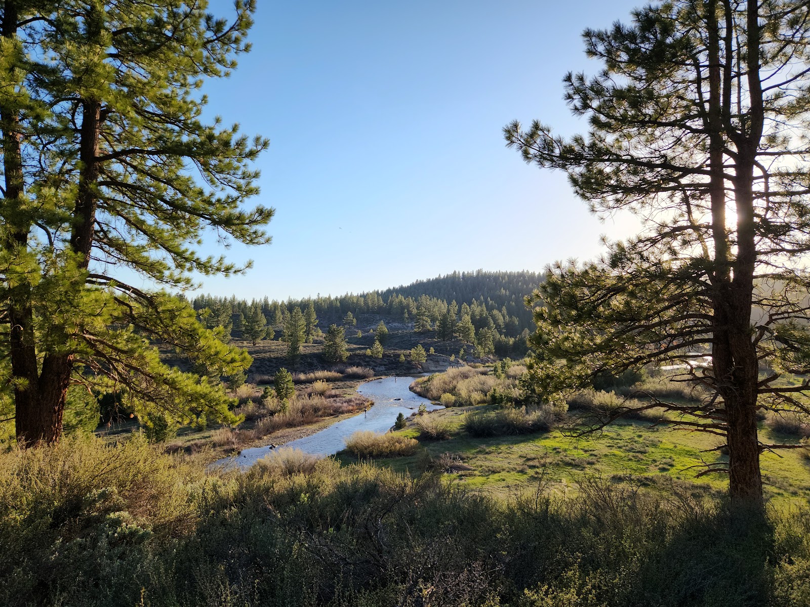 Boyington Mill Campground