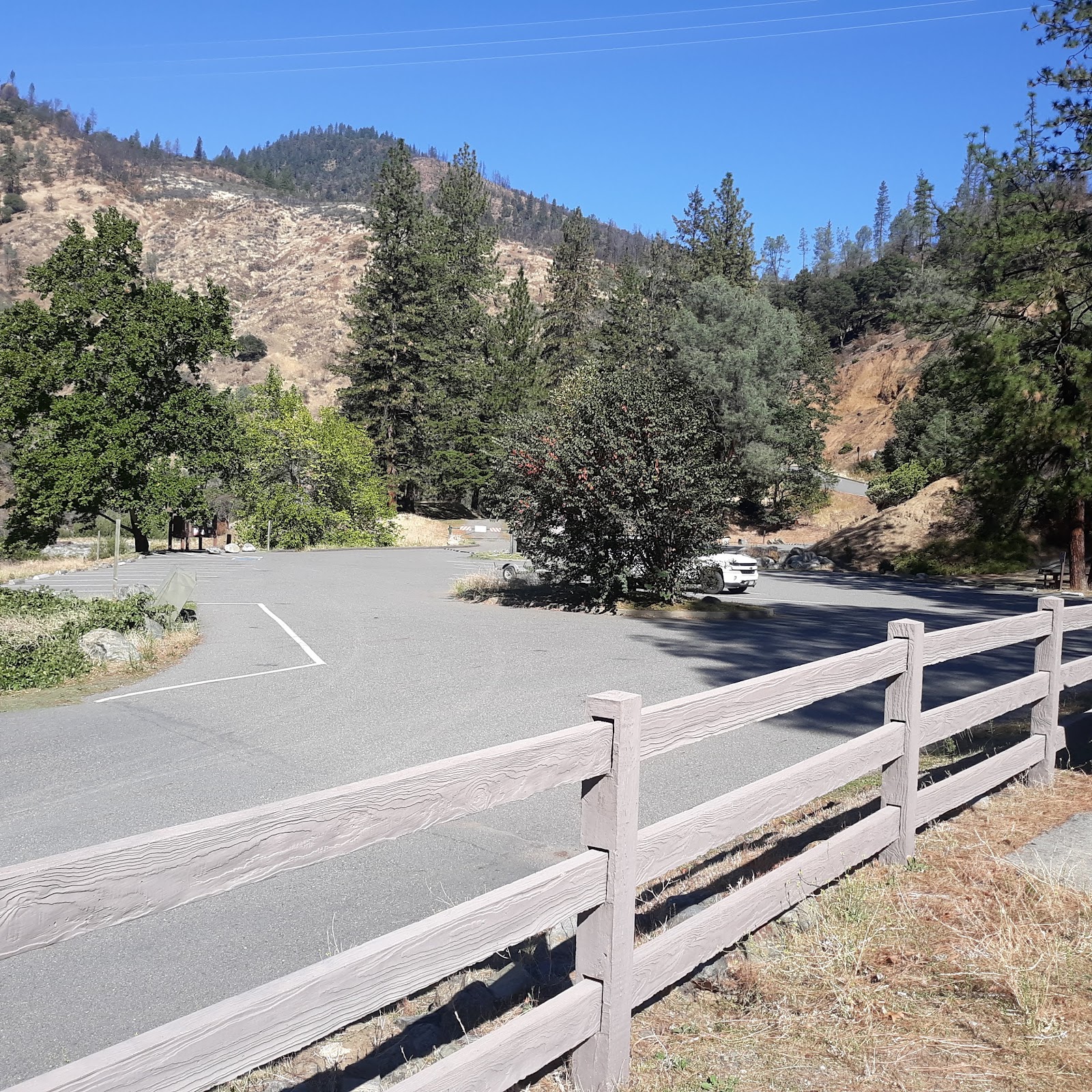 Pigeon Point Campground