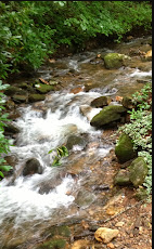 Top of Georgia Airstream Park