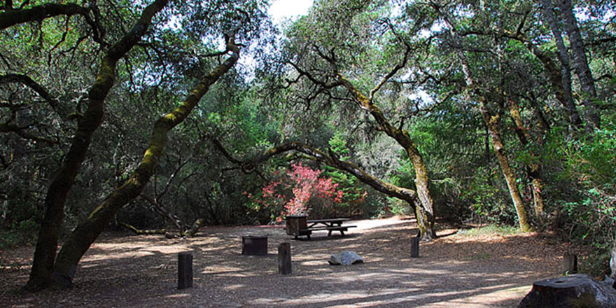 SeaCliff Center RV Park