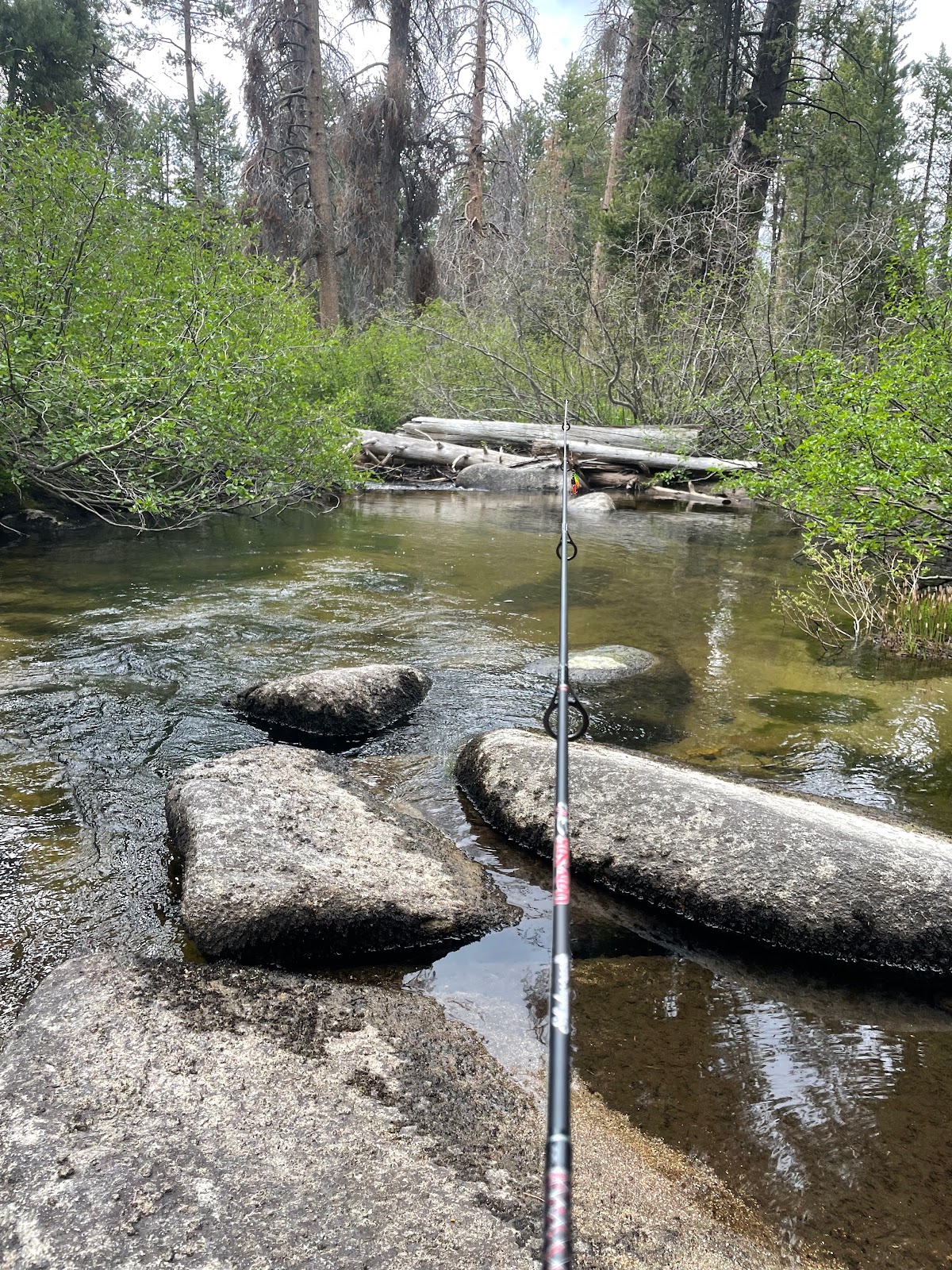 Sample Meadow Campground