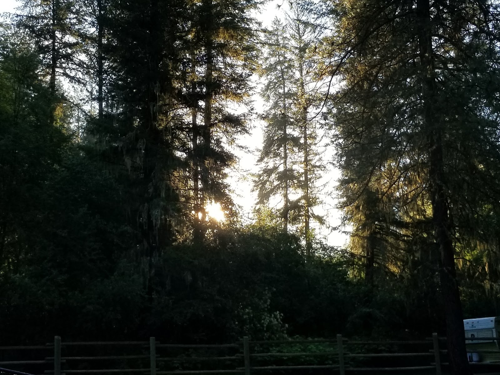 South Fork Campground