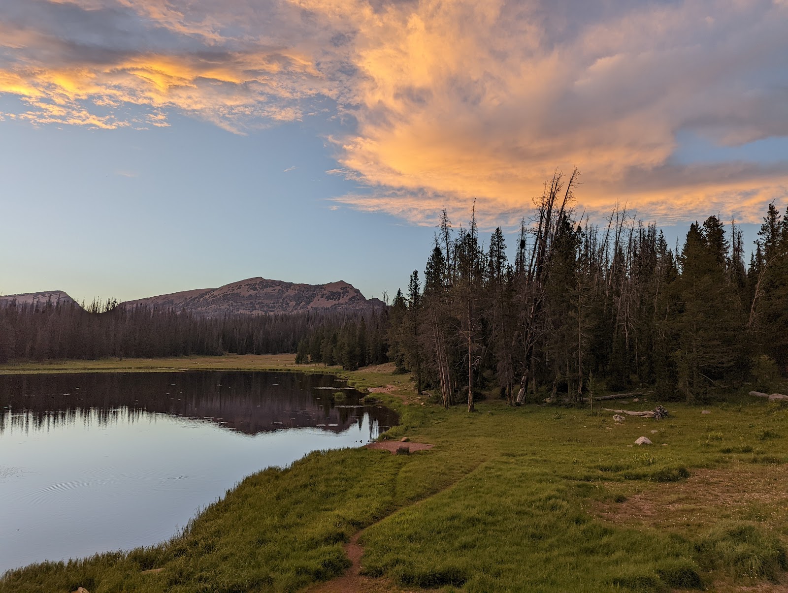 Lilly Lake Campground