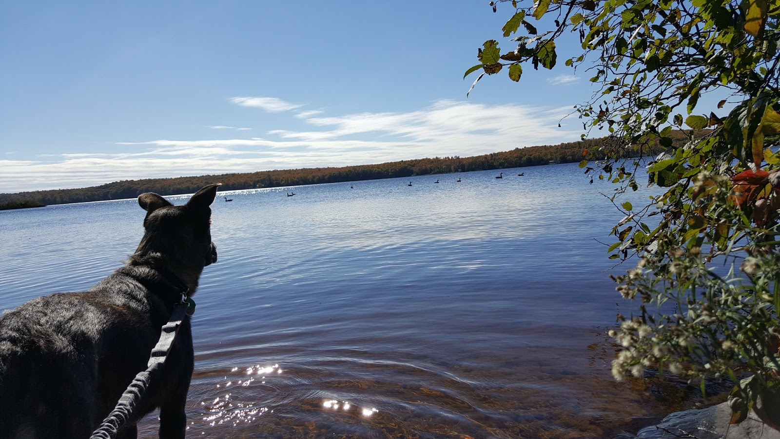 Beaufort Lake Campground